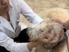-美联众合动物医院·24h转诊中心