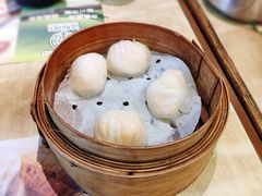 晶莹鲜虾饺-添好运点心专门店(北角店)