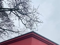 -峨眉山报国寺