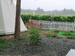 -安德鲁户外烧烤帐篷营地(马泉营店)