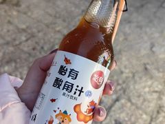 -小喜客·云南特色菜(纳西庭院店)