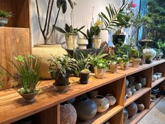 -自由生长植物工作室(深港花卉中心店)