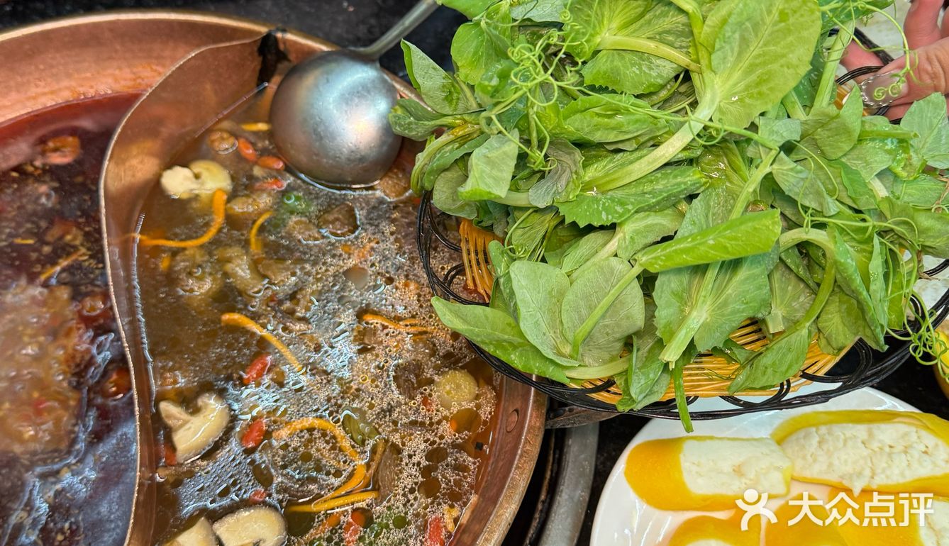 来香格里拉！！！请记住这个位置。。。🥹🥹