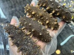 -大连双兴商品城