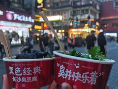 -黑色经典臭豆腐·湖南特产(坡子街店)