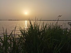 -漕湖湿地公园