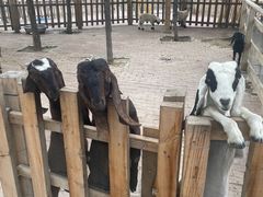 -水上乐园·欢乐世界