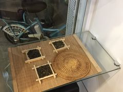 大堂-一杯潮茶·专注潮汕茶饮(十二中创始店)