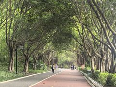 -南宁南湖公园