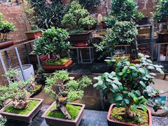 -秦美花卉(天朗·莱茵小城2期店)