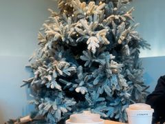 -J Create城市露营咖啡·简餐·宠物(上海动物园店)