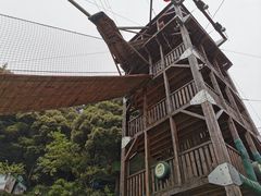 -衢州大荫山丛林飞越探险乐园