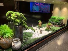 门面-九洲喜来登酒店湖月日餐厅