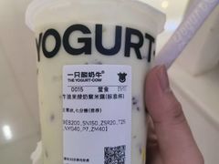 -一只酸奶牛(成都sm广场店)