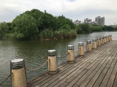 -新江湾城公园
