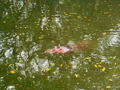 -泉州海丝野生动物世界