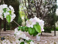 -元大都城垣遗址公园