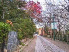 -上海佘山国家森林公园西佘山园