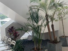 -青梅酒肆PLUS(长白仙岛北路店)