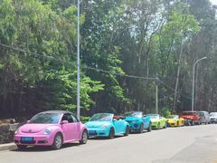 -梵猫·轻客栈(大理古城北门店)