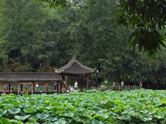 -龙头寺公园