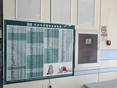 -中农国际动物医院24小时·猫科·骨科·急重症中心
