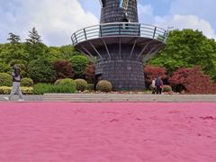 -上海鲜花港