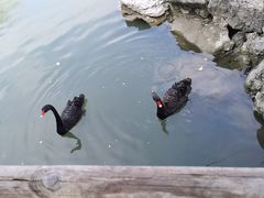 -桃源居(蠡园店)