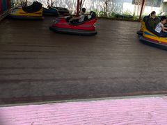 -广东花都香草世界旅游度假区