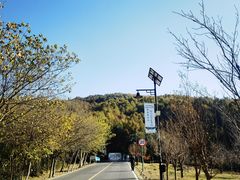 -南京市无想山景区