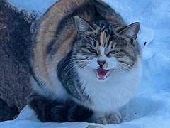 -云峰山自然风景区