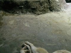 -临沂极地海洋王国