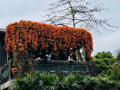 -东莞市可园博物馆