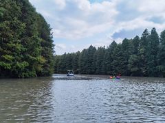 -上海海湾国家森林公园