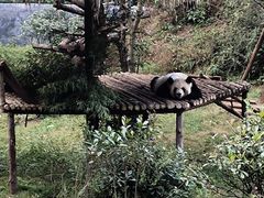 -云南野生动物园