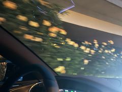 -高玛纳驴肉火烧(河间总店)