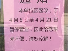 -中关村茶点