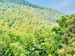 -天目湖御水温泉·度假酒店