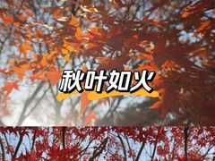 -南山风景名胜区