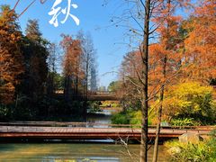 -云溪植物园