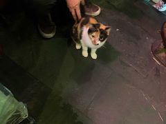 -吉友粥底火锅(方斜路店)