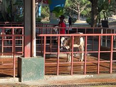 -光明农场大观园