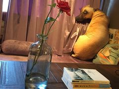 -椒小兔·盐帮川菜中餐厅(金沙时代广场店)