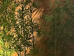 -初蓉丨遇见新川菜(亲贤街荣耀店)