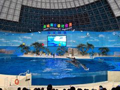 -泉城欧乐堡海洋极地世界