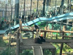 -大连森林动物园