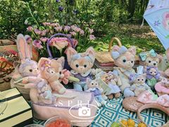 -上海共青森林公园