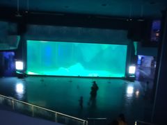 -上海海昌海洋公园-冰山北极馆