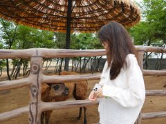 -西霞口神雕山野生动物世界