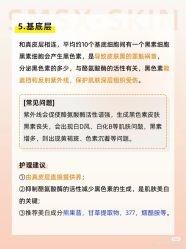 -玛莲朵·海菲秀冰珀科